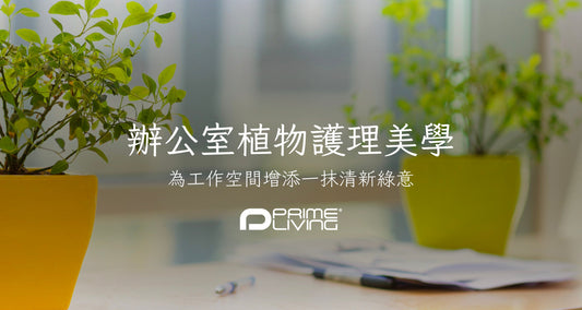 辦公室植物護理美學